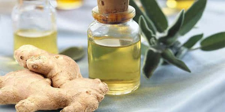 الزنجبيل وزيت الزيتون الزنجبيل وزيت الزيتون